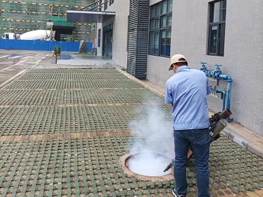 南沙四害消杀定期进行虫害防治的好处